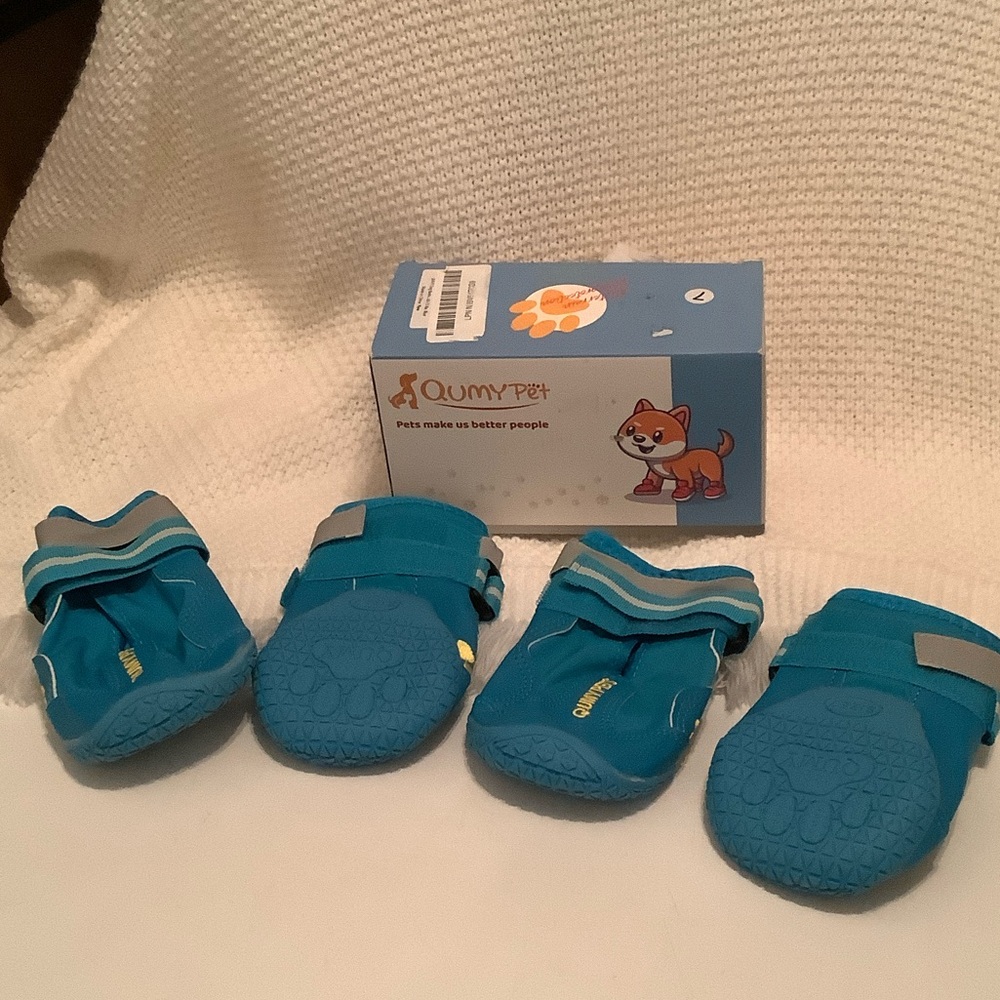 Blue Dog Shoes